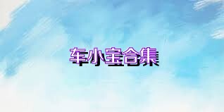 车小宝合集
