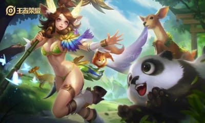 王者荣耀去掉曝光版