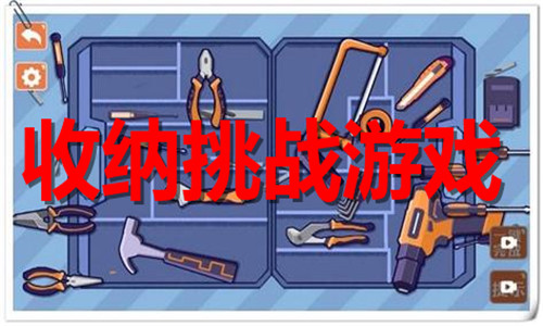 收纳挑战游戏大全