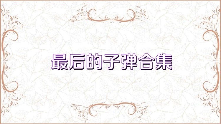 最后的子弹合集