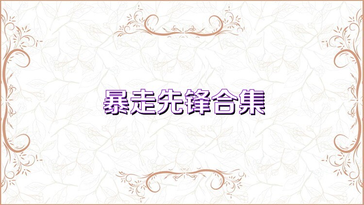 暴走先锋合集