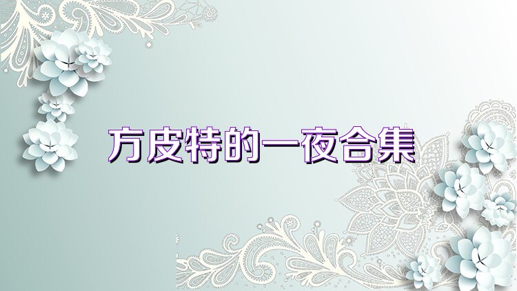 方皮特的一夜合集