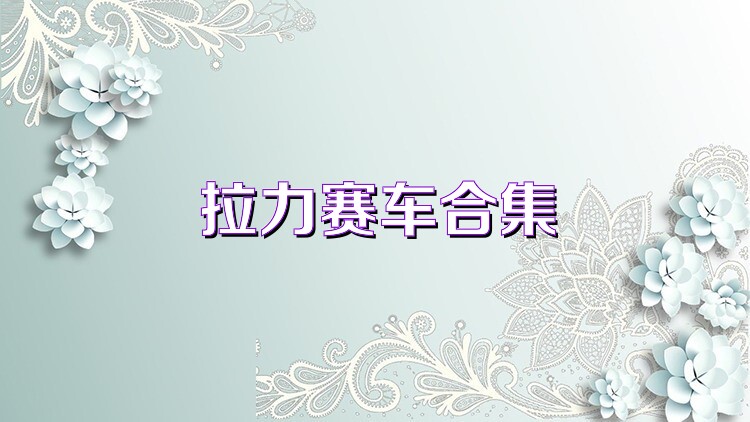 拉力赛车合集