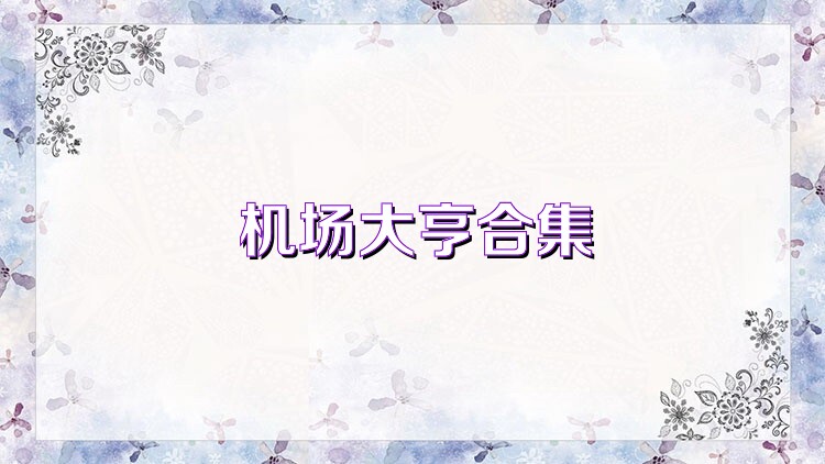 机场大亨合集
