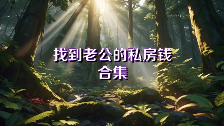 找到老公的私房钱合集