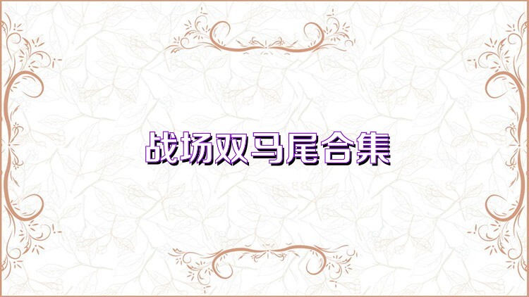战场双马尾合集