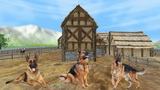 牧羊犬动物3D手机版