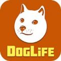 doglife