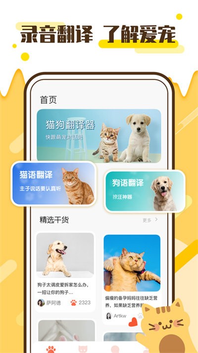 和猫对话app下载