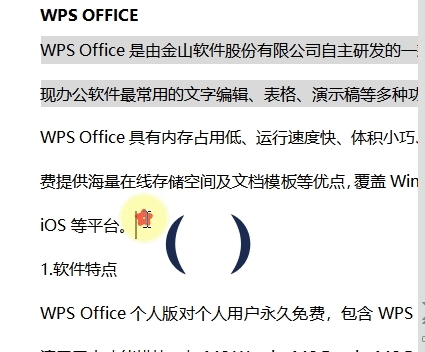 WPS文字怎么输入跨行括号符号