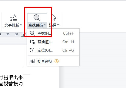 WPS文字怎么快速查找所有字母内容