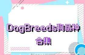 DogBreeds狗品种合集