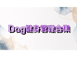 Dog健身管理合集
