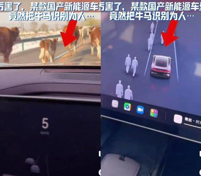 将行走的牛识别成人，小米SU7闹出乌龙，智驾系统还得修炼啊