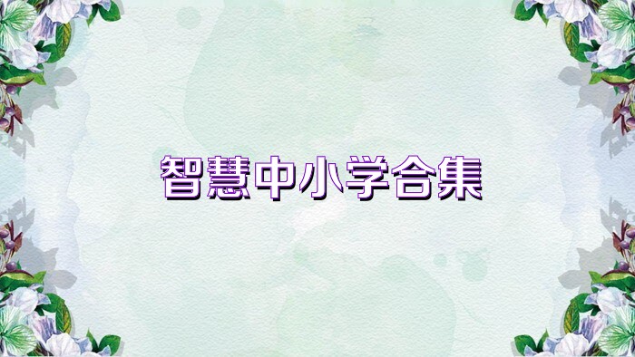 智慧中小学合集
