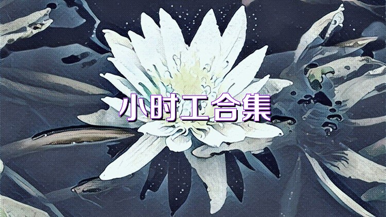 小时工合集