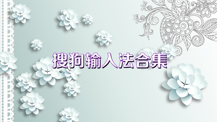 搜狗输入法合集