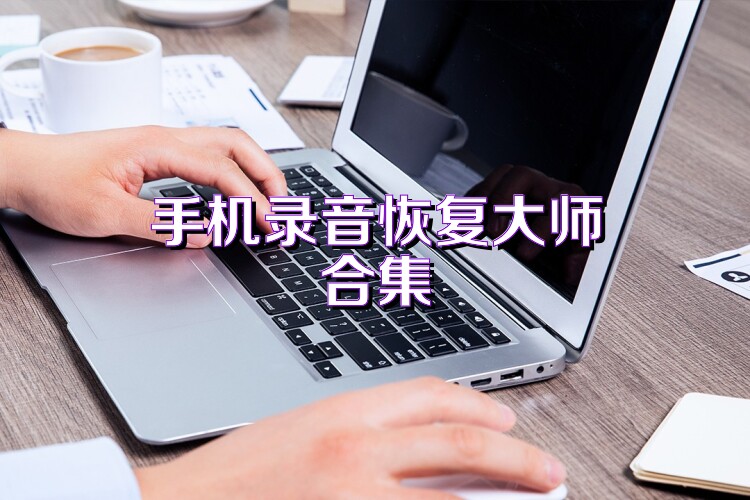 手机录音恢复大师合集