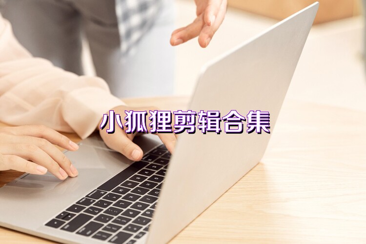 小狐狸剪辑合集