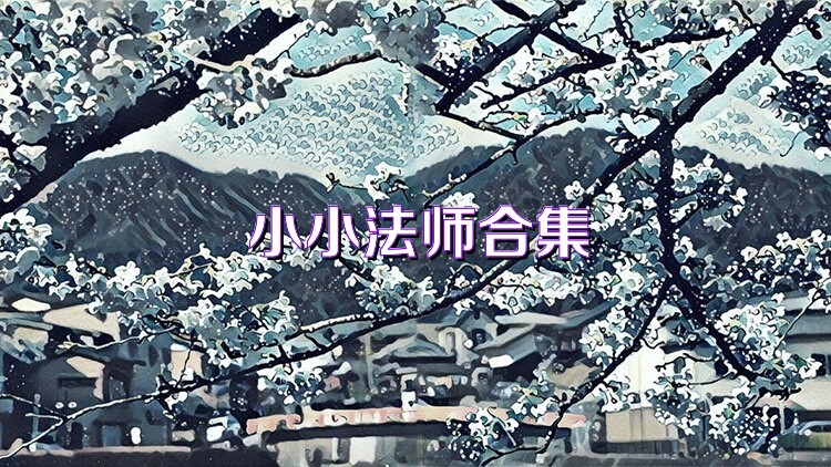 小小法师合集