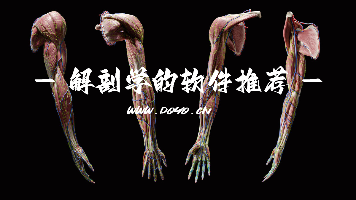 解剖学APP