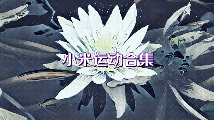 小米运动合集