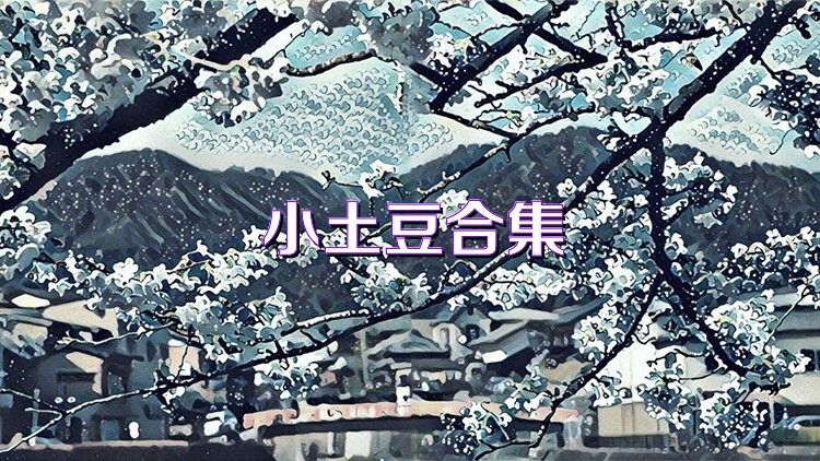 小土豆合集