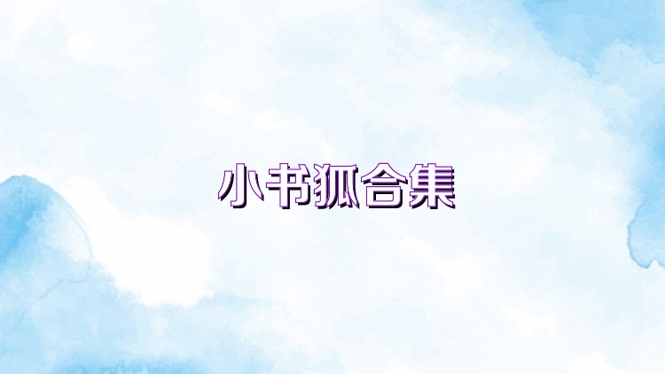 小书狐合集