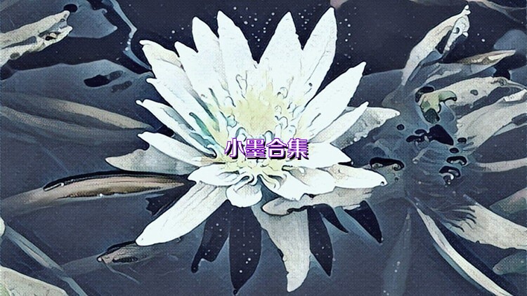 小墨合集