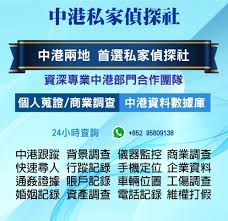 信息查询私人侦探