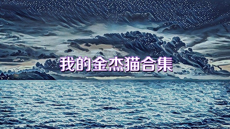 我的金杰猫合集