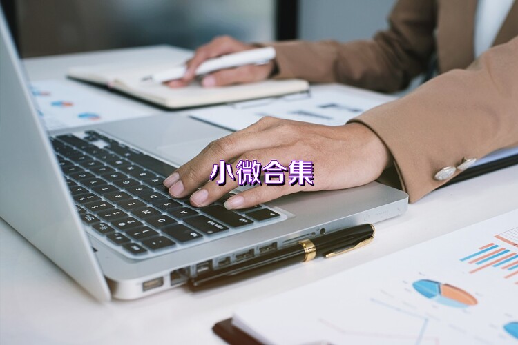 小微合集