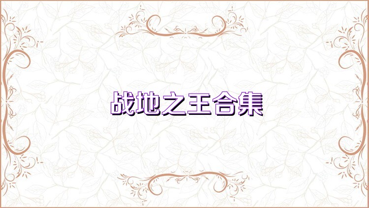 战地之王合集