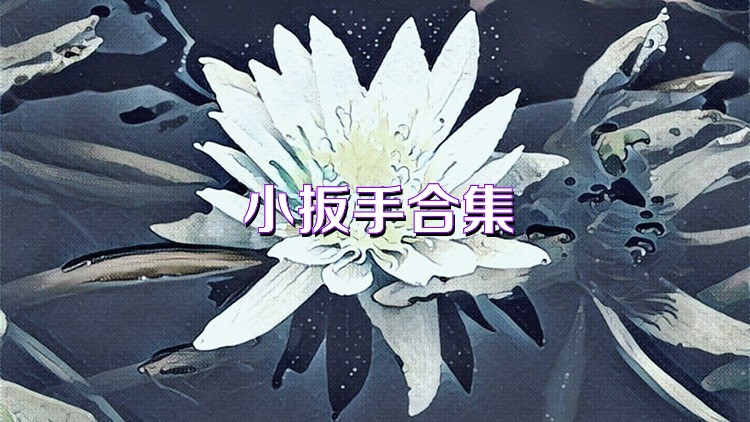 小扳手合集