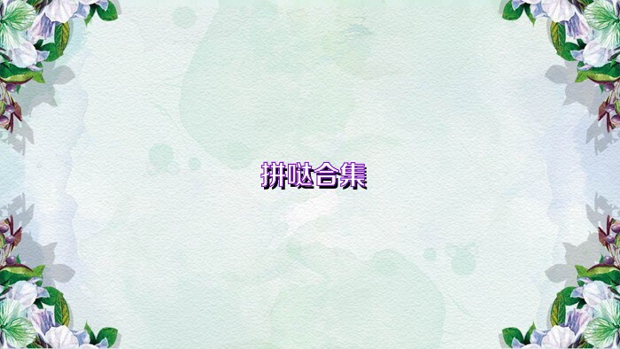 拼哒合集