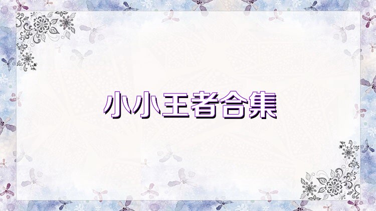 小小王者合集