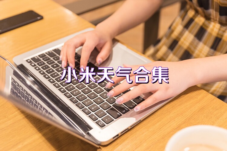 小米天气合集
