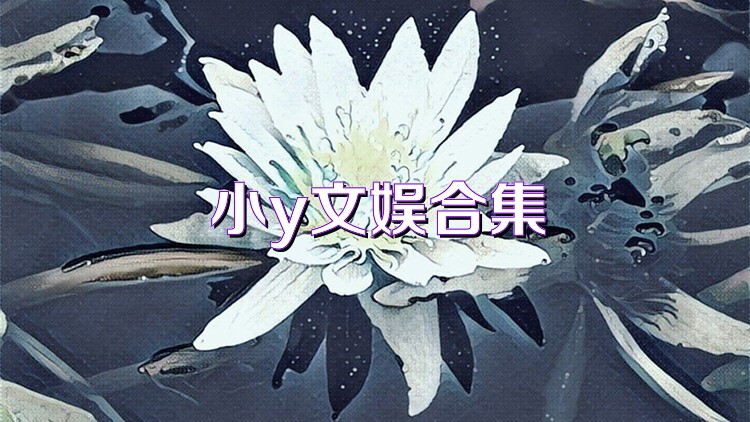 小y文娱合集