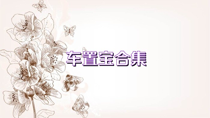 车置宝合集