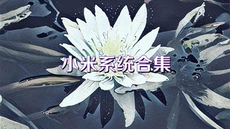 小米系统合集