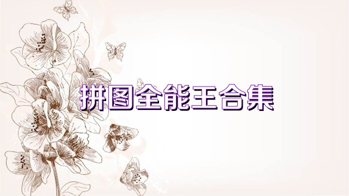 拼图全能王合集