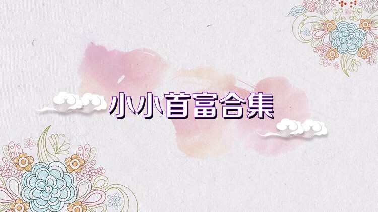 小小首富合集