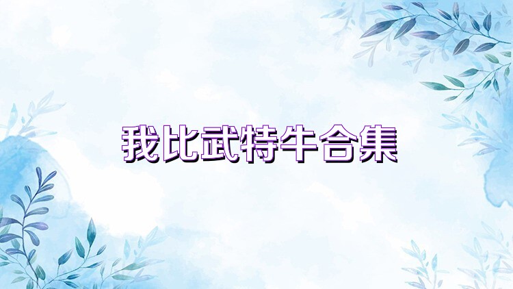 我比武特牛合集