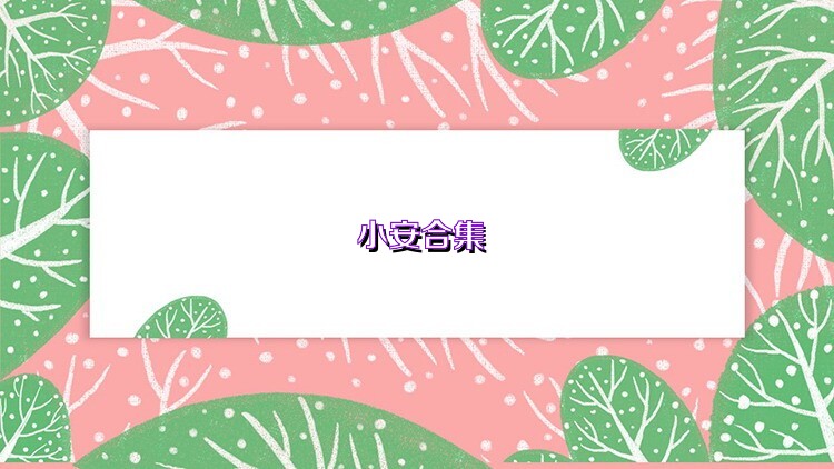 小安合集