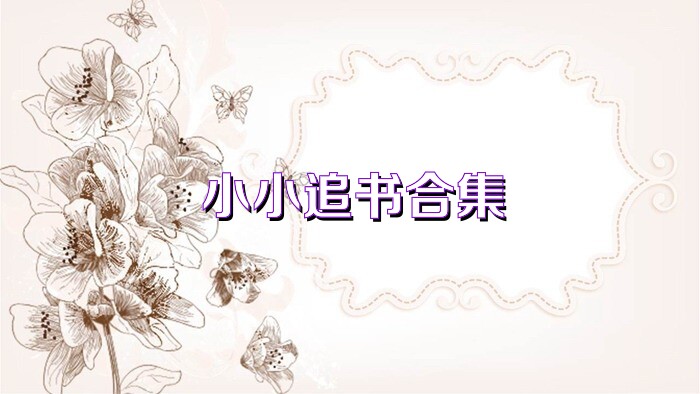 小小追书合集