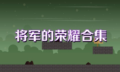 将军的荣耀合集