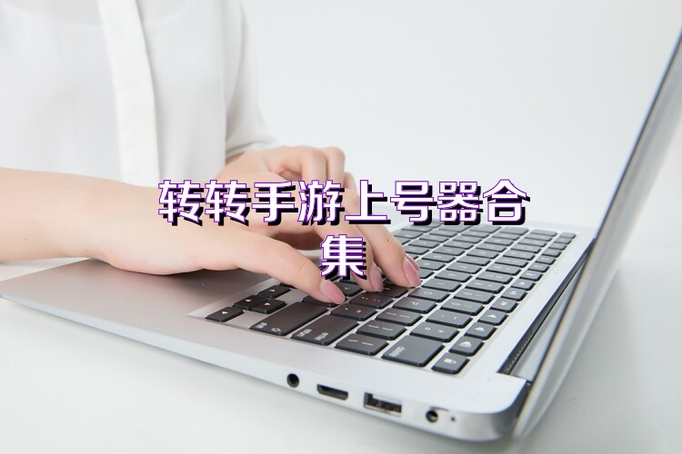 转转手游上号器合集