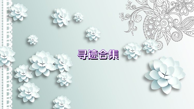 寻迹合集