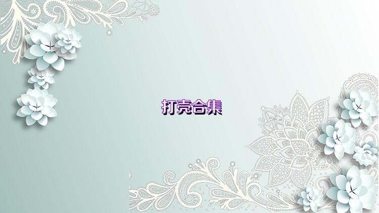 打壳合集