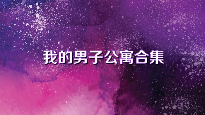 我的男子公寓合集